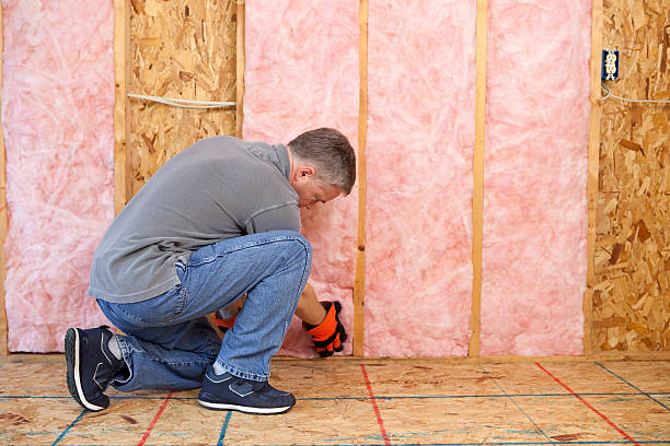 Best Spray Foam Insulation  in Anoka, MN